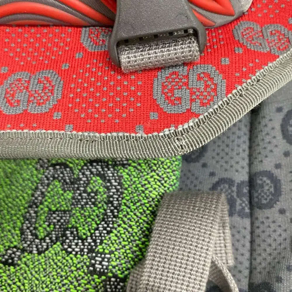 Gucci gg backpack